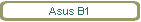 Asus B1
